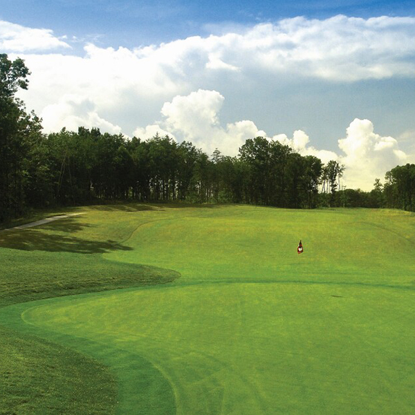 Open Summer Challenge at Compass Pointe